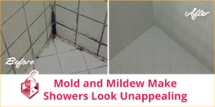 https://www.sirgrout.com/images/p/183/shower-mold-mildew-tile-grout-cleaning-sealing-480.jpg