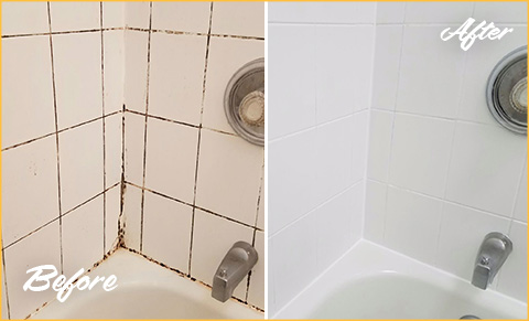 https://www.sirgrout.com/images/p/211/bathroom-grout-tub-joints-480.jpg