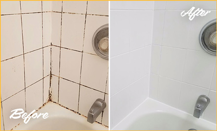 https://www.sirgrout.com/images/p/255/clean-grout-mold-tub-480.jpg
