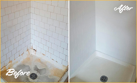 Tile and Grout Cleaning and Sealing (Get Instant Pricing)