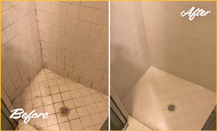 https://www.sirgrout.com/images/p/296/grout-cleaning-sealing-dirty-bathroom-480.jpg