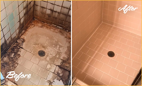 Shower Tile and Grout Cleaning, Before & Afters